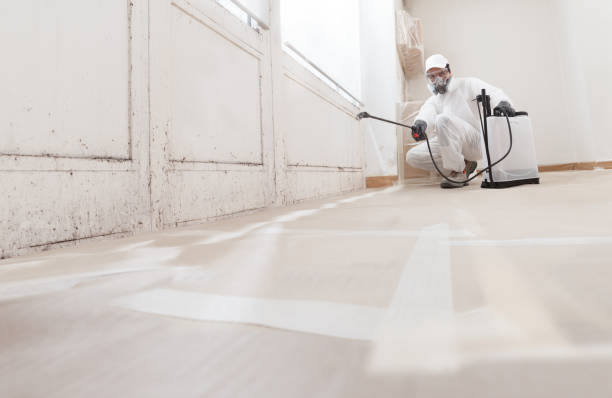 24/7 Emergency Basement Mold Removal experts in Richland, GA